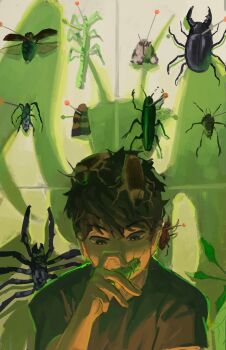 1boy black_eyes black_hair black_shirt bug bug_request fly grasshopper hand_up highres holding_bug insect lee_gilyoung male_focus moth omniscient_reader&#039;s_viewpoint pinned rhinoceros_beetle scarab shadow shirt short_hair sitting_in_shadow size_difference sparkling_eyes spider tangerinegod tile_wall tiles underlighting upper_body