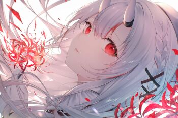 Rule 34 | 1girl, braid, double-parted bangs, falling petals, flower, hair ornament, haruhitooo, hashtag-only commentary, head back, head tilt, highres, hololive, horns, long hair, multicolored hair, nakiri ayame, nakiri ayame (9th costume), parted lips, petals, portrait, red eyes, red flower, red streaks, simple background, solo, spider lily, streaked hair, virtual youtuber, white background, white hair, white horns, x hair ornament