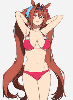 1girl animal_ears armpits arms_behind_head bikini breasts breasts_apart brown_hair closed_mouth collarbone daiwa_scarlet_(umamusume) grey_background hair_intakes highres horse_ears horse_girl horse_tail long_hair navel onsen_tamago_(hs_egg) red_bikini red_eyes simple_background solo swimsuit tail twintails umamusume