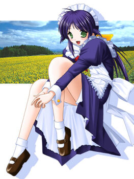 1girl 2000s_(style) andou_mahoro android ankle_socks antenna_hair apron archived_source ascot blue_dress blue_hair blue_sky blue_sleeves blush bobby_socks bow breasts brown_shoes buttoned_cuffs buttons cloud commentary_request dated_commentary day dress drop_shadow field flower flower_field frilled_apron frills full_body green_eyes hair_bow hair_tuft headdress invisible_chair juliet_sleeves keito_(keito-ya) lace-trimmed_petticoat legs loafers long_hair long_sleeves looking_at_viewer low-tied_long_hair low_ponytail mahoromatic maid maid_apron maid_headdress medium_breasts open_mouth petticoat photo_background polka_dot ponytail puffy_sleeves red_ascot retro_artstyle ribbon saturated shoes sidelocks sitting sky sleeve_cuffs socks solo sunflower sunflower_field tongue tree waist_ribbon white_apron white_background white_headdress white_ribbon yellow_bow
