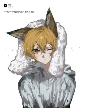 1boy :< animal_ears arms_at_sides blonde_hair closed_mouth commentary_request drawstring fox_boy fox_ears hagi0855 highres hood hood_down hoodie korean_commentary korean_text limbus_company long_sleeves looking_at_viewer male_focus one_eye_closed project_moon sinclair_(project_moon) solo straight-on towel towel_on_head translation_request tsurime upper_body wet wet_hair white_hood white_hoodie white_sleeves yellow_eyes