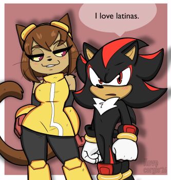 1boy 1girl absurdres animal_ears breasts brown_hair cat_ears cat_girl cat_tail crossover furry furry_female gameoverse highres huge_breasts ilovecorgi kit_bodega large_breasts pink_eyes shadow_the_hedgehog short_hair sonic_(series) tail thick_thighs thighs