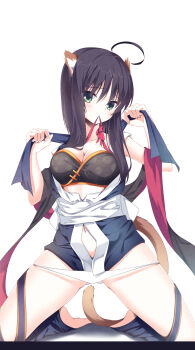 1girl ahoge animal_ears barefoot black_hair black_scarf blue_kimono blue_ribbon blush breasts cat_ears cat_girl cat_tail cleavage closed_mouth collarbone commentary_request eyes_visible_through_hair floral_print gluteal_fold green_eyes hair_between_eyes hair_over_breasts hands_up highres hitachi_mako japanese_clothes kemonomimi_mode kimono kneeling knees_out_of_frame large_breasts leg_ribbon long_scarf looking_at_viewer mouth_hold navel ninja open_clothes open_kimono panties panty_pull red_ribbon red_scarf ribbon ribbon_in_mouth scarf senren_banka short_hair_with_long_locks simple_background solo straight_hair sukonbu385 tail thighs two-sided_scarf underwear watermark white_background white_panties