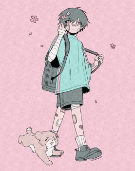 1boy absurdres animal antenna_hair backpack bag bandaged_arm bandaged_leg bandages bandaid bandaid_on_face bandaid_on_hand bandaid_on_leg bandaid_on_nose blue_shirt bright_pupils cevio cinnotomon closed_mouth dog dot_nose flower from_below frown full_body genderswap genderswap_(ftm) grey_bag grey_hair grey_shoes grey_shorts hair_between_eyes hair_flower hair_ornament hand_up hashtag-only_commentary highres iyowa_girls kurari-chan_(iyowa) kyu-kurarin_(cevio) looking_to_the_side male_focus paper_texture pink_background pink_flower pink_petals shirt shoes short_hair shorts simple_background solo walking white_pupils