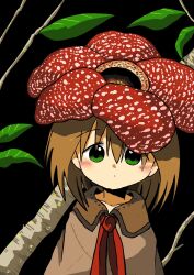 Rule 34 | black background, blush, branch, brown hair, brown robe, collared cloak, double-parted bangs, flower, flower on head, green eyes, highres, kishimen udn, leaf, looking at viewer, medium hair, mini person, minigirl, neckerchief, original, personification, rafflesia (flower), red neckerchief, robe, tree