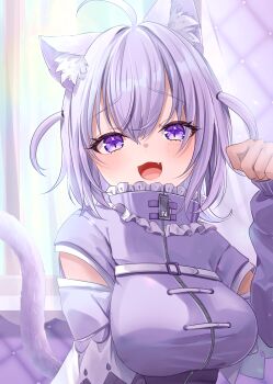 1girl :3 :d absurdres ahoge animal_ears blush cat_ears cat_girl cat_tail fang highres hololive jacket looking_at_viewer medium_hair nekomata_okayu nekomata_okayu_(membership) official_alternate_costume official_alternate_hairstyle open_mouth paw_pose purple_eyes purple_hair purple_jacket shagaihi smile solo tail two_side_up virtual_youtuber