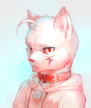 1boy ahoge animal_collar animal_ears artist_name body_fur collar commentary_request dog_boy dog_ears furry furry_male hood hood_down hoodie looking_at_viewer male_focus original red_collar red_eyes simple_background solo upper_body white_fur white_hoodie wincalblanke