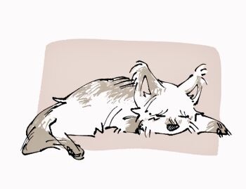 Rule 34 | animal, animal focus, brown background, brown fur, brown tail, closed eyes, dog, full body, lying, no humans, on stomach, original, simple background, sketch, sleeping, two-tone background, two-tone fur, white background, white fur, zugvogel 0525