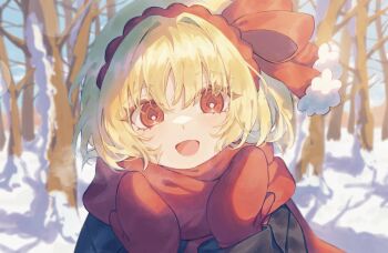 Rule 34 | 1girl, :d, bare tree, black jacket, blonde hair, breath, commentary request, hair intakes, hairband, hands up, highres, jacket, long sleeves, looking at viewer, mittens, open mouth, outdoors, portrait, red eyes, red hairband, red scarf, riri hashi, rumia, scarf, short hair, smile, snow, solo, touhou, tree