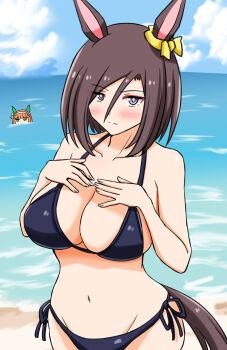 2girls absurdres air_groove_(umamusume) animal_ears beach bikini black_bikini black_hair blunt_bangs blush breasts closed_mouth ear_covers grey_eyes hair_between_eyes highres horse_ears horse_girl horse_tail large_breasts long_hair looking_at_viewer mouth_submerged mouth_under_water multiple_girls navel ocean orange_hair partially_submerged shikokuken_(mrykk24) shore short_hair silence_suzuka_(umamusume) swimsuit tail umamusume