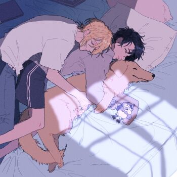 2boys a_co_pi ash_lynx banana_fish bed bed_sheet black_hair black_shorts blonde_hair blue_pants book closed_eyes closed_mouth cuddling dog grey_hoodie hood hoodie long_sleeves lying male_focus multiple_boys okumura_eiji on_bed on_side pants pillow shirt short_hair short_sleeves shorts sleeping stuffed_animal stuffed_toy white_shirt yaoi