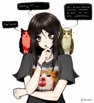 1girl angel_and_devil brown_eyes brown_hair closed_mouth commentary english_commentary english_text grey_lips grey_shirt hair_between_eyes halo hand_on_own_chin highres lips lipstick long_hair makeup meme meowl_(meme) original print_shirt shirt short_sleeves simple_background solo speech_bubble teyoid thinking upper_body white_background