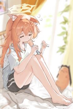 1girl alternate_costume animal_ear_fluff bed_sheet bedroom black_shorts blue_archive blurry cat_girl cat_tail coif commentary_request depth_of_field hair_between_eyes halo highres holding holding_ribbon indoors knees_up long_hair mal0 mari_(blue_archive) messy_hair morning on_bed ribbon shirt short_shorts short_sleeves shorts sidelocks sitting sleepy solo stuffed_animal stuffed_cat stuffed_toy t-shirt tail tearing_up waking_up white_shirt window