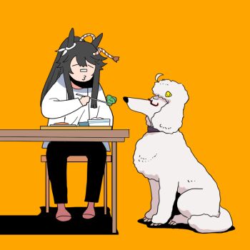 1girl animal_ears animalization bandaid bandaid_on_face bandaid_on_nose biwa_hayahide_(umamusume) black_pants chopsticks closed_eyes closed_mouth commentary_request dog food full_body high_ponytail holding holding_chopsticks horse_ears horse_girl horse_tail long_hair narita_brian_(umamusume) o3o onikobe_rin orange_background pants ponytail poodle red-framed_eyewear shirt sidelocks simple_background solo table tail umamusume white_shirt