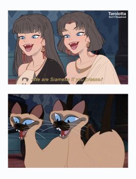 2girls am_(lady_&amp;_the_tramp) animal animal_ears blue_eyes cat cat_ears highres humanization lady_and_the_tramp long_hair looking_at_viewer multiple_girls open_mouth scene_reference shirt si_(lady_&amp;_the_tramp) siamese_cat smile solo tail tarolotta