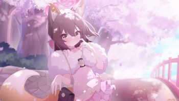 Rule 34 | 1girl, absurdres, animal ears, blue archive, brown hair, cherry blossoms, commentary request, dress, exusiai dust, fox ears, fox girl, fox tail, fur-trimmed dress, fur trim, halo, highres, izuna (blue archive), izuna (dress) (blue archive), looking at viewer, medium hair, official alternate costume, outdoors, pink dress, pink halo, revision, solo, tail, yellow eyes