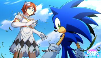 blood blue_fur blue_hair brown_hair dress gloves green_eyes injury kad_productionz leaf medium_hair outdoors plain princess_elise_the_third sega size_difference sonic_(series) sonic_the_hedgehog sonic_the_hedgehog_(2006) spiked_hair wind