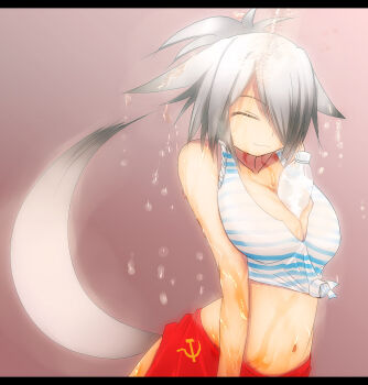 1girl animal_ears between_breasts borrowed_character bottle breasts female_focus front-tie_top hammer_and_sickle large_breasts letterboxed midriff onibi_(foxhound4185) original shirt solo soviet striped_clothes striped_shirt tail telnyashka tied_shirt wet white_hair