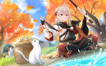 1boy antenna_hair armor asymmetrical_sleeves bandaged_arm bandaged_hand bandages basket belt black_belt black_gloves black_sandals black_scarf blue_sky bow brown_bow brown_shorts building cat cloud commentary_request crossed_bangs day falling_leaves fingerless_gloves fish fishing fishing_rod genshin_impact gloves grass hair_between_eyes hands_up haori highres holding holding_fishing_rod japanese_armor japanese_clothes kaedehara_kazuha kimono leaf looking_at_viewer low_ponytail male_focus maple_leaf medium_hair mismatched_sleeves multicolored_hair okkobc on_ground outdoors pantyhose parted_lips pom_pom_(clothes) ponytail red_eyes red_hair red_pantyhose red_scarf sandals scarf short_sleeves shorts shoulder_armor sidelocks single_sode sitting sky smile sode solo streaked_hair tassel tree water water_drop white_cat white_hair white_kimono