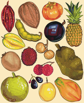 Rule 34 | breadfruit, cacao fruit, calocera, commentary, english commentary, food, food focus, food request, fruit, fruit focus, fruit request, highres, jackfruit, longan, lychee, no humans, original, papaya, passion fruit, persimmon, pineapple, simple background, starfruit, still life, tamarind