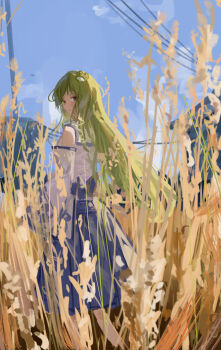 1girl absurdres blue_skirt blue_sky closed_mouth commentary_request day detached_sleeves frog_hair_ornament green_eyes green_hair hair_ornament highres kochiya_sanae long_hair long_sleeves looking_at_viewer looking_back outdoors power_lines shirt skirt sky sleeveless sleeveless_shirt smile solo standing touhou utility_pole vanilla_flan very_long_hair wheat white_shirt