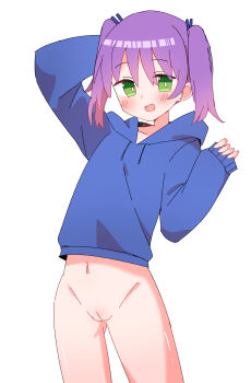 1girl absurdres akimachi_nono blue_hoodie blush bottomless cleft_of_venus commentary_request commission cowboy_shot drawstring green_eyes highres hood hood_down hoodie long_sleeves looking_at_viewer naked_hoodie navel null-meta open_mouth pinching_sleeves pink_hair pixiv_commission purple_hair pussy shinohara_kogome simple_background sleeves_past_wrists smile solo twintails uncensored white_background