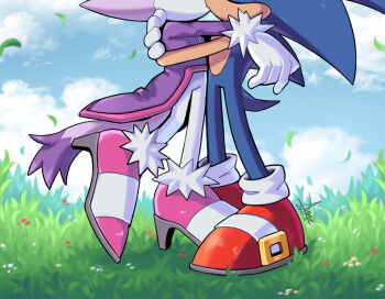 1boy 1girl angiethecat artist_name blaze_the_cat blue_fur cat_girl cat_tail commission furry furry_female furry_male grass high_heels highres kiss on_grass pink_shoes purple_fur red_shoes shoes sonic_(series) sonic_the_hedgehog tail