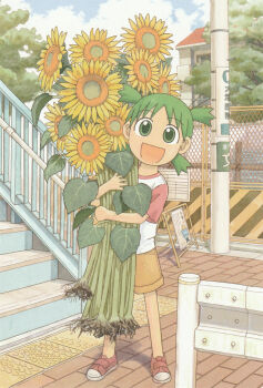 Rule 34 | 1girl, azuma kiyohiko, flower, green eyes, green hair, highres, koiwai yotsuba, official art, open mouth, red footwear, shirt, shorts, solo, sunflower, volume cover, yotsubato!