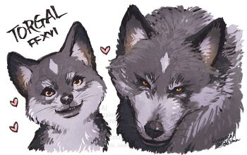 age_progression baby_animal character_name copyright_name dog facial_mark final_fantasy final_fantasy_xvi forehead_mark grey_fur highres leki_ixion looking_at_viewer no_humans puppy smile torgal_(ff16) twitter_username upper_body white_background wolf yellow_eyes