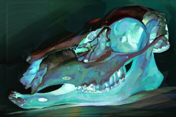 animal_skull broken_skull commentary english_commentary glowing highres no_humans object_focus original skull still_life twulfs