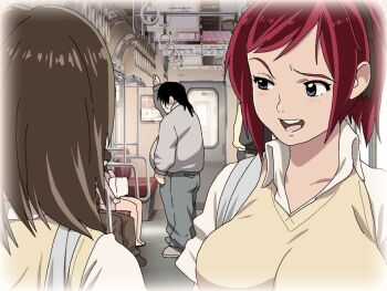Rule 34 | blush, breasts, bus interior, fat, fat man, large breasts, nemurihime makan, nighthawk (circle), red hair, smirk