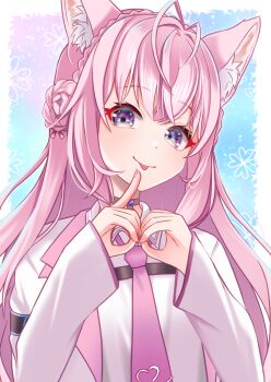 1girl animal_ear_fluff animal_ears antenna_hair blush closed_mouth coat collared_shirt commentary_request hakui_koyori hakui_koyori_(1st_costume) heart heart_hands highres hololive lab_coat looking_at_viewer necktie pink_coat pink_hair pink_necktie purple_eyes shirt smile solo tongue tongue_out virtual_youtuber white_shirt wolf_ears wolf_girl yokuto