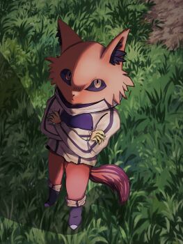 1girl absurdres closed_mouth crossed_arms fox_girl from_above full_body furry furry_female grimms_notes highres kung_fu_villain_(grimms_notes) solo standing user_hwkm5248 yellow_eyes