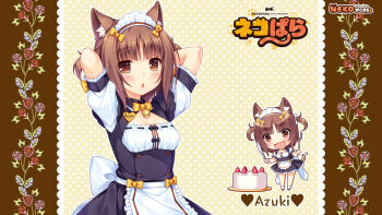1girl animal_ear_fluff animal_ears apron arms_behind_head azuki_(nekopara) back_bow bell blush bow breasts brown_eyes brown_hair buttons cake cat_ears cat_girl cat_tail character_name chibi cleavage food fork frills fruit hair_ribbon heart heart_button highres knife maid maid_apron maid_headdress matching_hair/eyes name_tag neck_bell nekopara official_art open_mouth polka_dot polka_dot_background ribbon sayori_(neko_works) short_hair short_sleeves slit_pupils small_breasts strawberry strawberry_cake striped_tail tail two_side_up waist_apron white_apron white_polka_dots white_ribbon white_wrist_cuffs wrist_cuffs yellow_bow