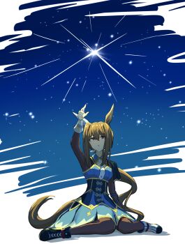 1girl absurdres admire_vega_(starry_nocturne)_(umamusume) admire_vega_(umamusume) animal_ears asymmetrical_footwear blue_capelet blue_dress breasts brown_hair capelet disfiro03 dress ear_covers gloves hair_between_eyes highres horse_ears horse_girl horse_tail long_hair long_sleeves looking_up low_ponytail mismatched_footwear necktie night night_sky pantyhose parted_lips ponytail purple_eyes single_ear_cover sitting sky solo star_(sky) tail umamusume wariza white_necktie