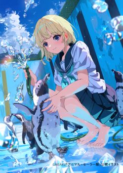 1girl animal aqua_neckerchief barefoot bird black_sailor_collar black_skirt blonde_hair blue_eyes blue_sky bob_cut closed_mouth commentary_request day empty_pool feet fingernails grey_shirt holding holding_hose hose looking_at_animal neckerchief original outdoors penguin pleated_skirt pool reflection reflective_liquid sailor_collar sakatsuki_yakumo school_uniform serafuku shirt short_hair short_sleeves skirt sky smile solo sparkle squatting toenails toes variant_set water water_drop