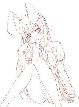 1girl :p animal_ears blush rabbit_ears female_focus head_tilt legs lineart long_hair monochrome panties pantyshot reisen_udongein_inaba sin-go sketch skirt solo tongue tongue_out touhou underwear upskirt very_long_hair
