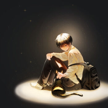 Rule 34 | 1boy, absurdres, backpack, backpack on one shoulder, bag, black hair, cat, commentary request, expressionless, full body, gj9158, hand on own knee, highres, kim dokja, knees up, korean commentary, long sleeves, looking at animal, male focus, oldest dream, omniscient reader's viewpoint, petting, shirt, short hair, solo, spotlight, white shirt