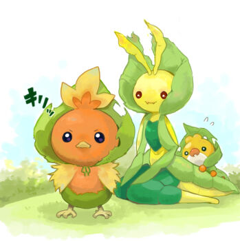 10s :3 gen_3_pokemon gen_5_pokemon hood hoodie leaf leavanny nintendo no_humans pokemon pokemon_(creature) pokemon_bw sewaddle torchic