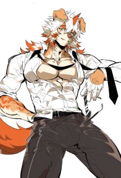 1boy abs arknights bad_id bad_twitter_id bara black_pants bulge closed_mouth colored_tips fang fang_out furry furry_male haru41113 highres horns hung_(arknights) komainu_boy komainu_ears komainu_tail looking_at_viewer male_focus multicolored_hair muscular muscular_male necktie open_clothes open_shirt pants pectorals shirt single_horn smile sunglasses undone_necktie unworn_eyewear white_background white_shirt