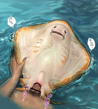 2boys anal animal animal_sexualization bar_censor bestiality censored cloaca female_animal fish highres kaiben-san_tarou male_pubic_hair missionary multiple_boys original penis pov pubic_hair pussy sex skate_(fish) stingray stomach_bulge water what yaoi
