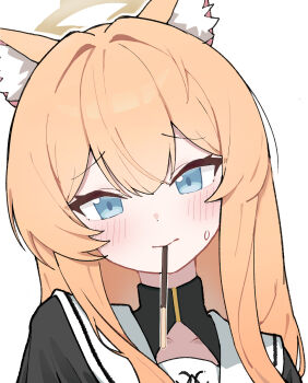 Rule 34 | animal ears, black shirt, blue archive, blue eyes, cat ears, cat girl, commentary request, food, food in mouth, hair between eyes, halo, highres, looking at viewer, mari (blue archive), orange hair, pocky, pocky in mouth, sailor collar, shirt, simple background, user xxjh7378, white background, white sailor collar, yellow halo