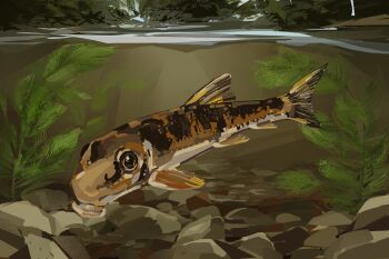 animal_focus commentary day english_commentary fish highres junbuug looking_at_viewer nature no_humans original painterly partially_underwater_shot rock scenery