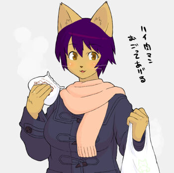 Rule 34 | animal ears, bag, blush, cat ears, coat, food, furry, kemonon, purple hair, scarf, yellow eyes
