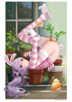 1girl absurdres alternate_costume anal anal_object_insertion animal_ears ass azur_lane between_legs black_bow blush bottomless bow carrot clenched_hand commentary double_penetration fake_animal_ears feet female_masturbation fingering food food_insertion from_side full_body hair_bow hair_ornament hairband hand_between_legs hand_up heart heart-shaped_pupils highres knee_up laffey_(azur_lane) laffey_(sleep_to_clean_another_day)_(azur_lane) legs legs_up long_hair looking_at_viewer lying masturbation messy_hair no_panties object_insertion on_back on_shoulder open_mouth pajamas pajamas_lift pink_eyes pink_hairband pink_pajamas plant polka_dot polka_dot_pajamas purple_hair pussy_juice pussy_juice_stain pussy_juice_trail rabbit_ears rabbit_hair_ornament rabbit_tail red_eyes sawkm skindentation slippers solo striped_clothes striped_thighhighs symbol-only_commentary symbol-shaped_pupils tail thighhighs thighs top-down_bottom-up twintails upside-down vaginal vaginal_object_insertion very_long_hair