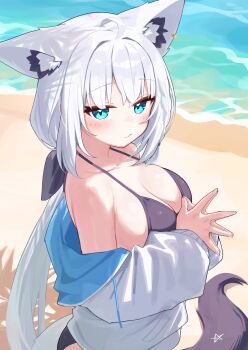 1girl absurdres ahoge alternate_costume animal_ear_fluff animal_ears bare_shoulders beach bikini black_bikini blue_eyes blush breasts cleavage closed_mouth commentary_request deaver fox_ears fox_girl fox_tail hair_intakes highres hololive jacket large_breasts long_hair long_sleeves looking_at_viewer low-tied_long_hair low_ponytail outdoors pentagram ponytail puffy_long_sleeves puffy_sleeves shirakami_fubuki solo steepled_fingers swimsuit tail virtual_youtuber white_hair white_jacket