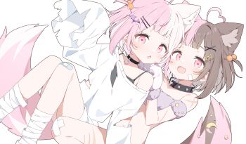 Rule 34 | 2girls, :d, :o, absurdres, ahoge, animal ear fluff, animal ears, bandaged leg, bandages, bandaid, bandaid on knee, bandaid on leg, bare shoulders, bat hair ornament, black bra, black collar, blunt bangs, blush, bra, collar, commentary request, extra ears, fang, feet out of frame, fox ears, fox girl, fox tail, hair bobbles, hair ornament, hairclip, hand up, heart, heart-shaped pupils, heart ahoge, highres, long sleeves, looking at viewer, multicolored hair, multiple girls, off shoulder, open mouth, original, parallel hairclips, pink eyes, shirt, short hair, simple background, single bare shoulder, skin fang, sleeves past fingers, sleeves past wrists, smile, spiked collar, spikes, split-color hair, symbol-shaped pupils, tail, two-tone hair, two side up, underwear, urotsuki (ku9625), white background, white shirt, x hair ornament