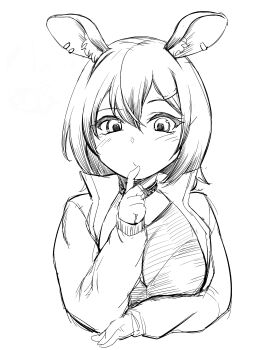 1girl absurdres animal_ears arknights blush breasts catapult_(arknights) cleavage closed_mouth commentary_request earclip expressionless greyscale hand_on_own_chin highres horse_ears horse_girl jacket looking_at_viewer medium_breasts monochrome open_clothes open_jacket sadahiro_(chicken_nugget_gyuuniku_aji) shirt short_hair simple_background sketch solo upper_body