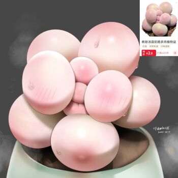 absurdres artist_name blush chinese_text dated grey_background highres mbct01 no_humans original photo-referenced photo_inset plant reference_inset signature simple_background steam still_life succulent_plant sweat translation_request twitter_username what
