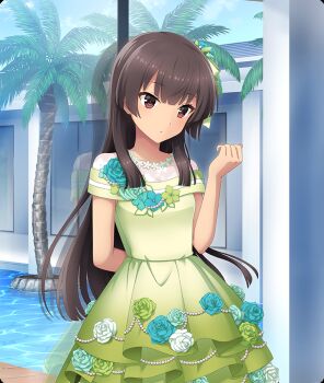Rule 34 | 1girl, arm behind back, black hair, blue flower, blue rose, blue sky, blunt ends, breasts, cowboy shot, day, dot nose, dress, flower, game cg, green dress, green flower, green rose, hand up, indoors, juujou hiyori, long hair, off-shoulder dress, off shoulder, official art, palm tree, red eyes, reflection, rose, sidelocks, sky, small breasts, solo, third-party source, toji no miko, toji no miko: kizamishi issen no tomoshibi, tree, water, white flower, white rose